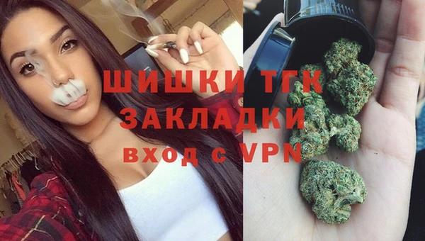 тгк Алзамай