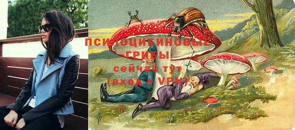 тгк Алзамай