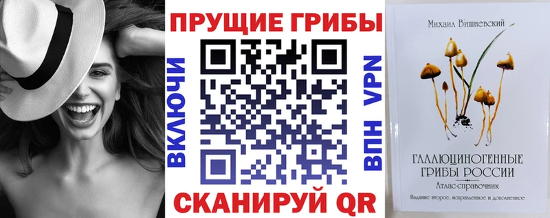 Купить где  Верхняя Тура  Псилоцибиновые грибы мицелий 